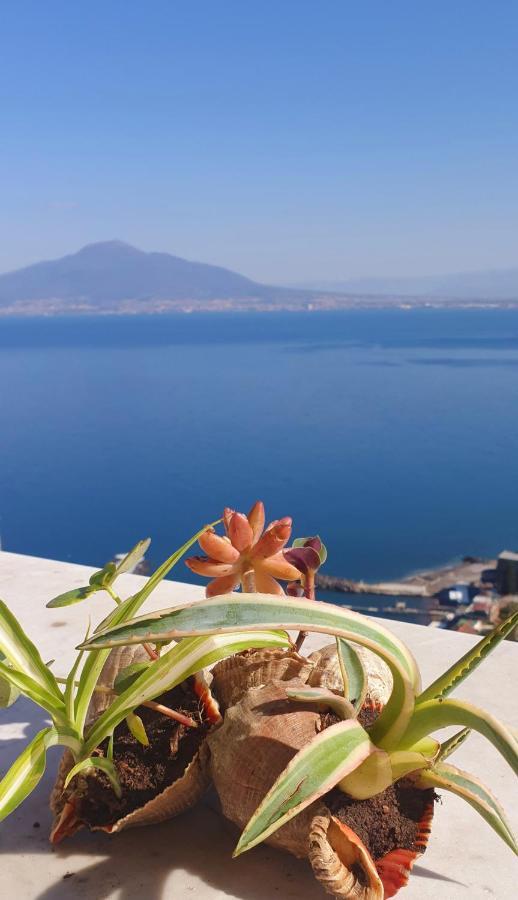Dimora Del Conte Sorrento Coast Seaview Apartment วีโกเอเกวนเซ ภายนอก รูปภาพ